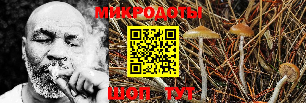 Галлюциногенные грибы MAGIC MUSHROOMS  Псилоцибиновые грибы MAGIC MUSHROOMS  Клинцы  купить закладку  Вход с VPN 